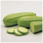 Σπόροι Κολοκύθι OTTO F1 – 1000 ΣΠΟΡΩΝ Σπόροι Κηπευτικών uniqueagro.eu