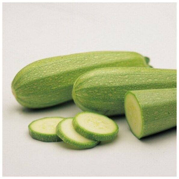 Σπόροι Κολοκύθι OTTO F1 – 1000 ΣΠΟΡΩΝ Σπόροι Κηπευτικών uniqueagro.eu