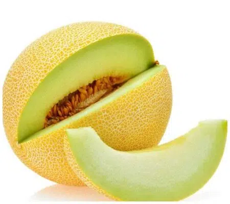 Σπόροι Πεπόνι Galia EXELOR F1 – 250 ΣΠΟΡΩΝ Σπόροι Κηπευτικών uniqueagro.eu