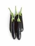 SILIA F1 – 1.000 ΣΠΟΡΩΝ Σπόροι Κηπευτικών uniqueagro.eu