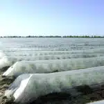 ΑΝΤΙΠΑΓΩΤΙΚΟ ΜΗ ΥΦΑΝΤΟ ΥΦΑΣΜΑ   2,1m Χ 250 m -19 g/m² Αναλώσιμα Θερμοκηπίου uniqueagro.eu