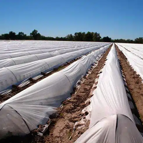 ΑΝΤΙΠΑΓΩΤΙΚΟ ΜΗ ΥΦΑΝΤΟ ΥΦΑΣΜΑ   2,1m Χ 250 m -19 g/m² Αναλώσιμα Θερμοκηπίου uniqueagro.eu