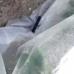 ΑΝΤΙΠΑΓΩΤΙΚΟ ΜΗ ΥΦΑΝΤΟ ΥΦΑΣΜΑ   2,1m Χ 250 m -19 g/m² Αναλώσιμα Θερμοκηπίου uniqueagro.eu