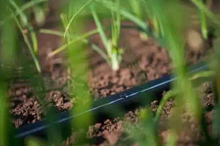 Rivulis T-Tape 5mil/10cm. 3658 μ Αναλώσιμα Θερμοκηπίου uniqueagro.eu